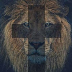 Meet your Posher, Sandy